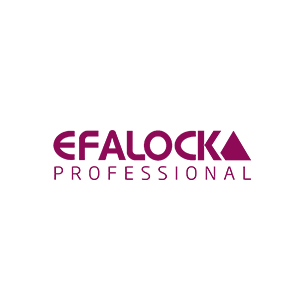 EFA-Lock Profesional